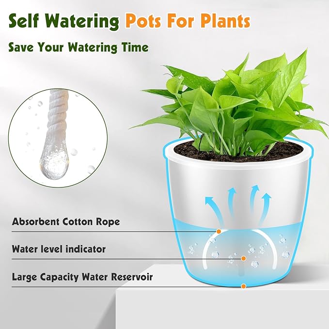 8-Pack 5 Inch Self Watering Pots, Indoor Planter with Indicator, Transparent Wick Pot for Orchids, Small African Violet Pot, for Plants