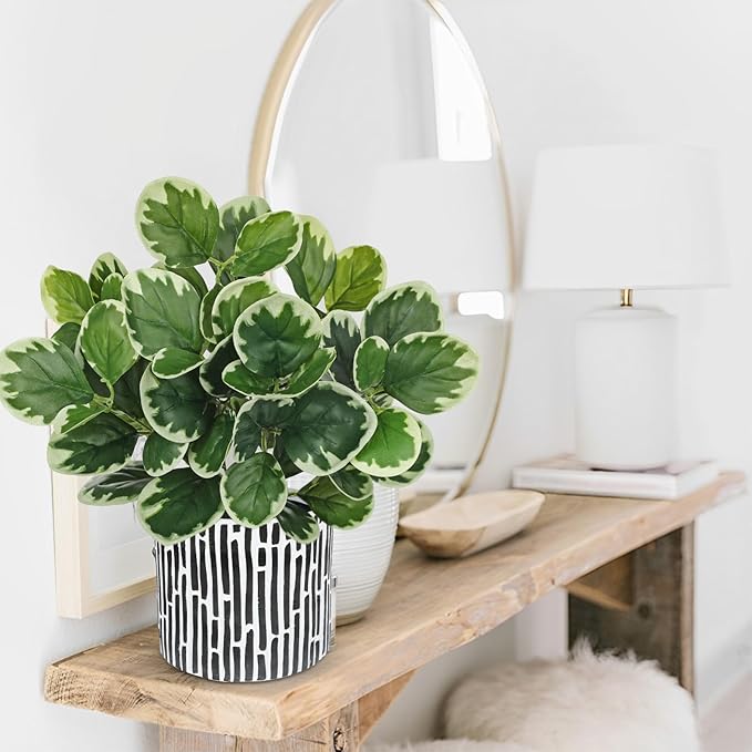 13" Artificial Plants Indoor Small Fake Plant in Ceramic Pot, Silk Plants for Home Decor Indoor, Faux Potted Plant for Shelves, Desks, Home, Room, Office, Bedroom, Farmhouse, Entryway, Tabletop Decor