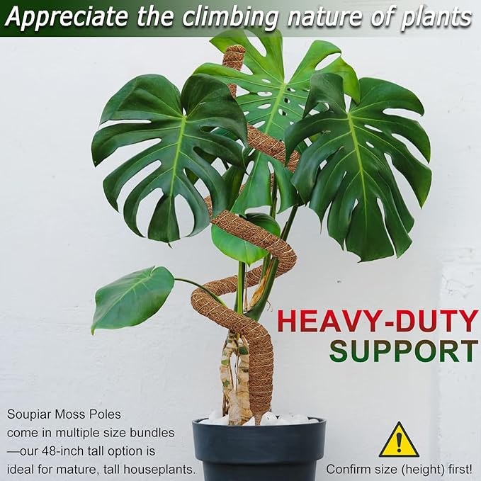 Soupiar 2 Pack 48'' Bendable Moss Pole for Monstera & Pothos - Tall Handmade Coco Coir Plant Support Stakes for Large Climbing Indoor Plants, Potted Houseplant Trellis Accessories