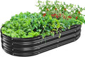 Oval Galvanized Planter Box, Metal Raised Garden Bed - 0.8MM Thick- Ideal for Outdoor Gardening and Planting of Vegetables Flowers Fruits Succulent Plants and Others (Black, 5X2.7X1 FT)