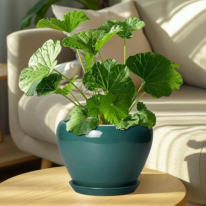 8 Inch Plant Pot - Ceramic Planter for Indoor Outdoor Plants, Glaze Modern Round Ceramic Flower Pot with Drainage Hole and Saucer, Gifts for Plant Lover, Home Office Patio Decor, Green