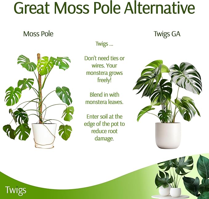 Stackable Monstera Plant Support Stakes, Climbing Support for Indoor & Outdoor Use, Plant Accessories, Aesthetic Alternative to Moss Poles & Trellises – Monstera Green, 5 Pack, 17" L