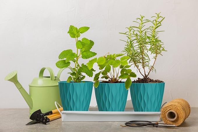 6 Inch Plant Pots, 6 Pack Indoor Flower Pots, Planters with Drainage Holes and Trays for Orchids, Violets, Succulents, Herbs, and Other Plants,Blue-Green