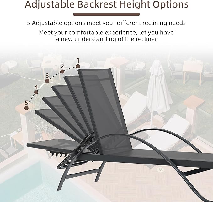 Shintenchi Patio Chaise Lounge Set of 2, Pool Chaise Lounge with Arm,Outdoor Lounge Chair with 5 Adjustable Backrest,Sunbathing Recliner,Beach Chair,Pool Chairs,Dark Grey