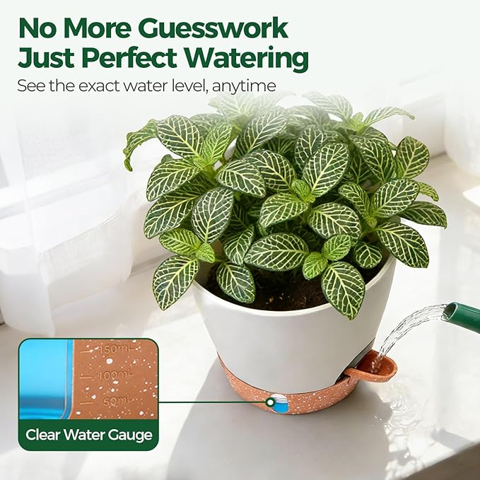 T4U 2 Pack 8 Inch Self Watering Pots - Water Level Indicator & Deep Reservoir, Mess-Free Planter for Busy People, Beginners & Gardeners, Pothos/Herbs/Snake Plants, Indoor Outdoor Use (White)