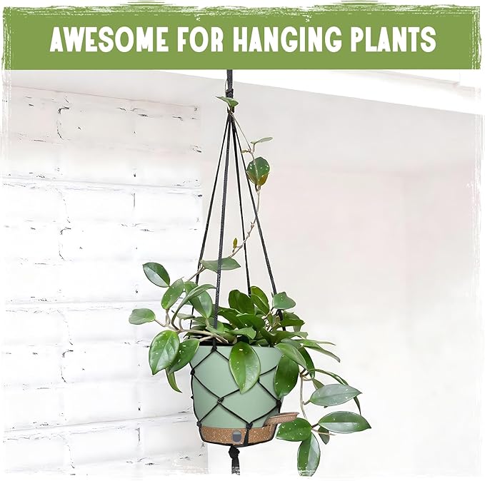 Self-Watering Pots for Indoor Plants 4 Pack, 6/8/10/12 Inch Outdoor Planters with Water Level Indicator&Deep Reservoir, Decorative Flower Pots for Indoor Plants,Home Decor (Green, 12+10+8+6 inch)