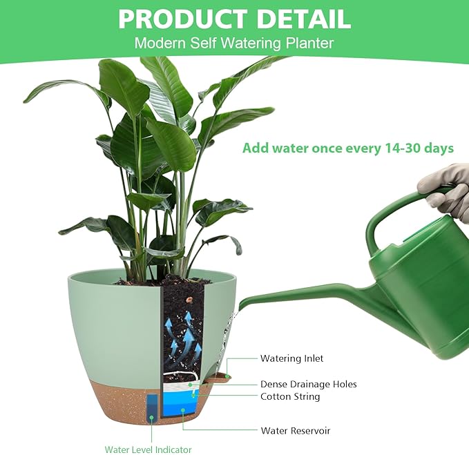 Self Watering Planter Set with Visual Water Level, 6Pack Small Plastic Pot with Drainage Holes and Reservoir Saucers, Modern 8+7+6.5+6+5.5+5 Inch Bottom Watering Flower Pots for Indoor Plant - Green