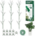 9 Pack Green Plant Support Stakes Plant Stakes for Indoor and Outdoor Plants. 39.37inch Plant Sticks with Extension Poles, Plant Clips,Plant Ties for Potted Monstera Plants, Climbing Plants