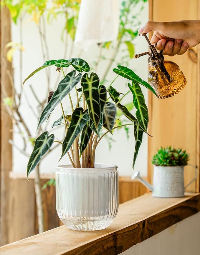 Melphoe Self Watering Pots for Indoor Plants Planter, 5.3 Inch 2 Pack Planters Self Watering Plant Pots for Flower, Houseplants, Succulent, African Violets and Cactus with Drainage