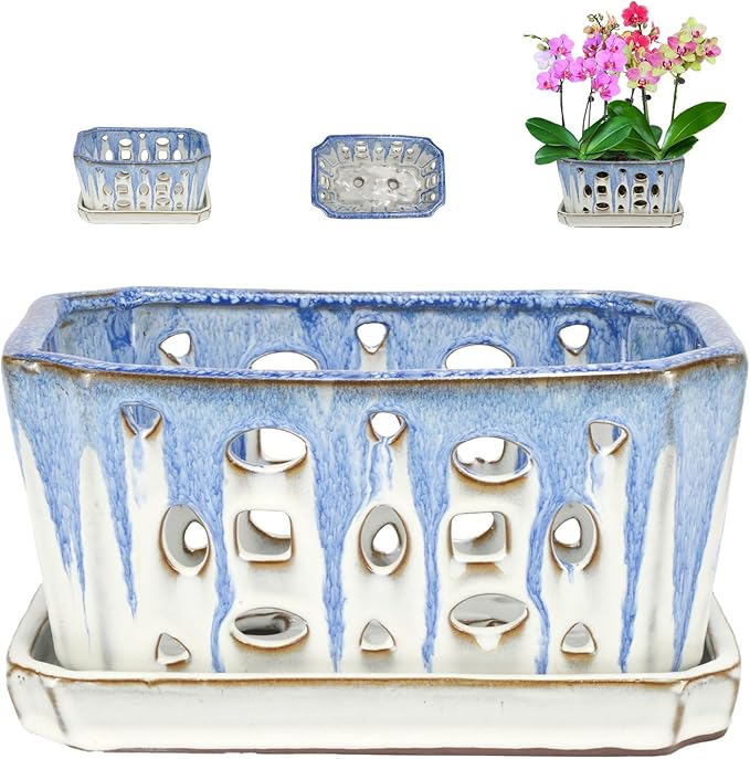 W&W Orchid Pot with Holes and Saucer for Repotting, Blue and White, 9.7 Inch