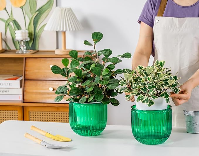 Melphoe Self Watering Pots for Indoor Plants Planter, 6.5 Inch 2 Pack Planters Self Watering Plant Pots for Flower, Houseplants, Succulent, African Violets and Cactus with Drainage