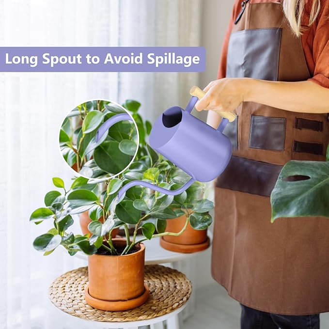 Watering Can Indoor Plants, 35oz Small Stainless Steel Metal Watering Can Modern Decorative Watering Pot with Long Spout for Indoor House Plant Bonsai Garden Flowers (Purple)