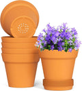 5 Inch Plastic Plant Pots with Drainage Holes and Trays – 6 Pack Small Nursery Pots for Indoor & Outdoor House Plants and Flowers, Seedling Starter Planters, Terracotta