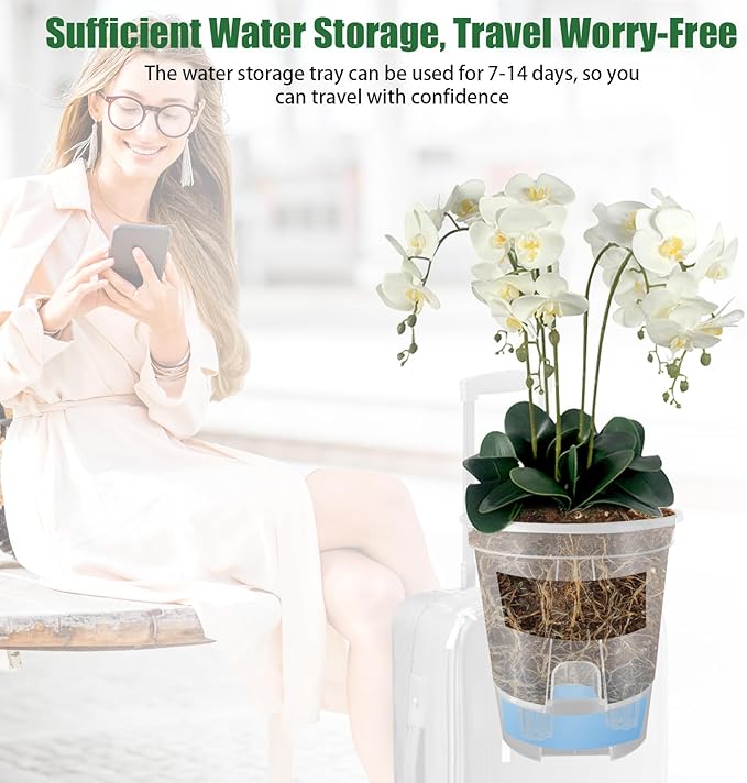 Cdd's Path 5-Pack 6 Inch Self Watering Naked Root Planter Pots with Drainage Holes & Reservoir, Plastic Planters with Air Pipes for Indoor Outdoor Plants，Clear