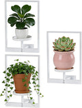 Wall Hanging Plant Stands Planter Shelves, Indoor Outdoor Window Plant Hanger Decor for Living Room Entryway (White 3-Pack)