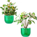 Melphoe Self Watering Pots for Indoor Plants Planter, 6.5 Inch 2 Pack Planters Self Watering Plant Pots for Flower, Houseplants, Succulent, African Violets and Cactus with Drainage