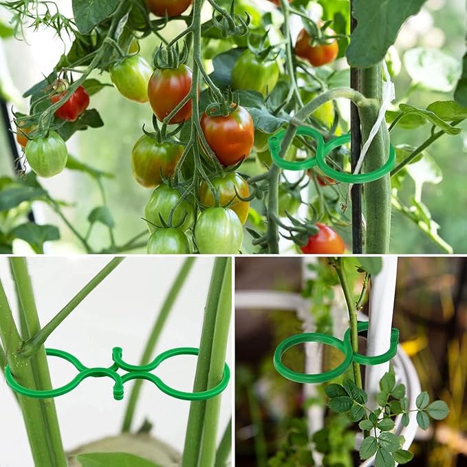 Hysagtek 120 Pcs Large Garden Plant Clips Tomato Clips Plant Locks Clips Vegetables Vine Flower Clips Tomato Ties for Securing Plants