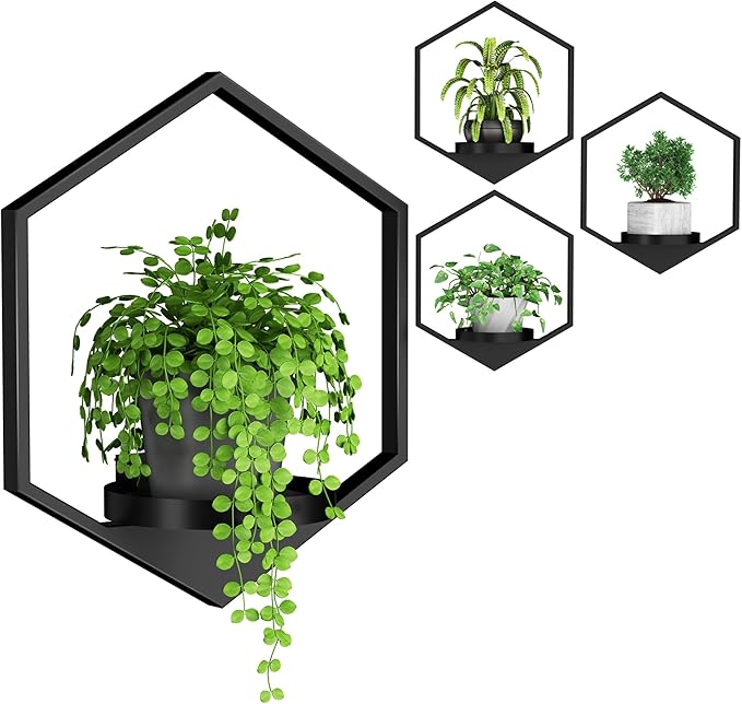 Wall Planters for Indoor Plants, Plant Frames Wall Decor Living Room Plant Stand Hanging Wall Plants Holder to Hold Large Pots Wall Plant Hanger Window Plant Shelves for Outdoor Entryway
