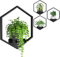 Wall Planters for Indoor Plants, Plant Frames Wall Decor Living Room Plant Stand Hanging Wall Plants Holder to Hold Large Pots Wall Plant Hanger Window Plant Shelves for Outdoor Entryway