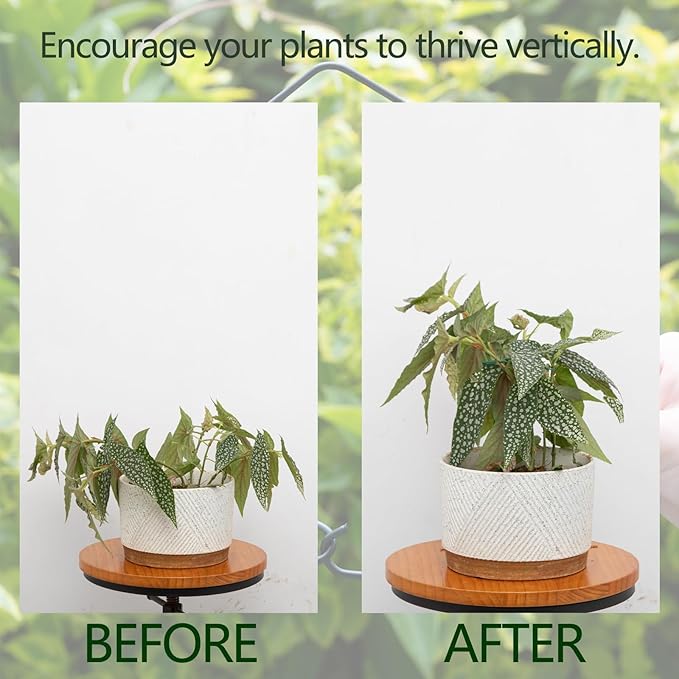 Monstera Plant Stem Support - 4.13 x 2.95 Inches 5 Pack Durable Leaf Holder for Climbing Plants, Ideal for Monstera & Vining Plants, Elegant Design for Plant Lovers