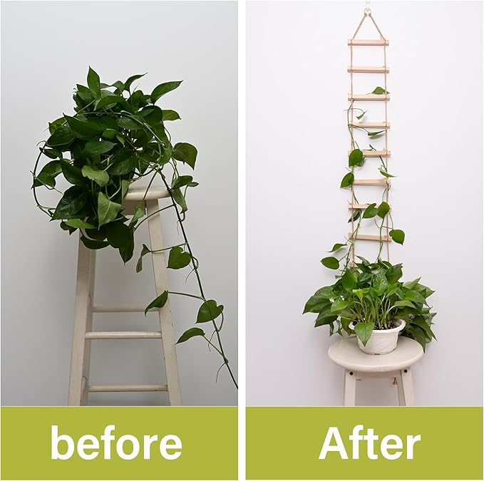 2PCS Chain Trellis for Climbing Plants - Natural Wood Indoor Plant Support, Durable 6.5 Inch by 4 Feet Design, Perfect for Pothos, Ivy, and Vines with Easy Installation Hook