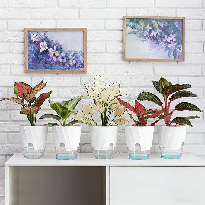 KIMCHOMERSE Self Watering Plant Pots, 6 Inch Plant Pots White, 3 Pack Flowers Pot Indoor Planter Pots with Tray for Spider Plant, Orchid, African Violet