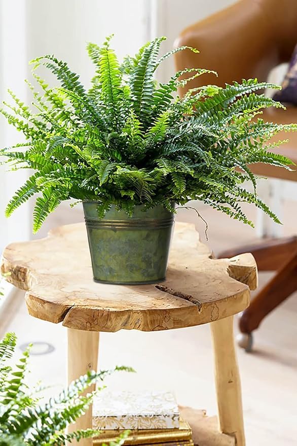 Briful 5 Size Galvanized Buckets Rustic Farmhouse Metal Bucket Galvanized Flower Bucket Plants Pot, Home Indoor Outdoor Decor Tin Planter, 3.7In/3.9 in/5.1In/5.9In/7.1In