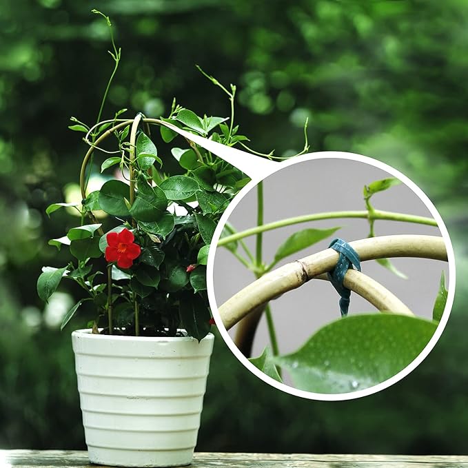 Plant Trellis Indoor, 3 Pack Bamboo Trellises, 16in Fan-Shaped Trellis for Potted Plants Climbing Plants Hoya Vine Ivy