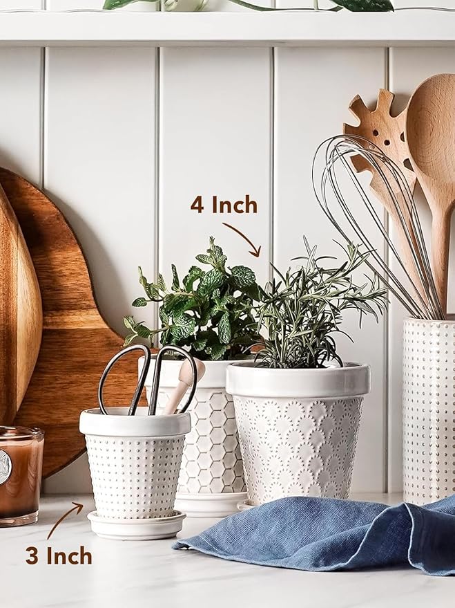 LE TAUCI 3 Inch Mini Succulent Pots - Very Small Ceramic Planter with Saucer, Tiny Embossed Flower Pots for Lithops, Mini Cactus, Air Plants, Fairy Gardens - Indoor Home Decor, Set of 4, Arctic White