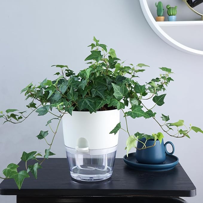 6 Inch Self Watering Plastic Plant Pots for Indoor Plants - 3 Pack White Orchid Planters with Wick Ropes & Drainage Holes, Modern Decorative Garden Pots with Water Reservoir