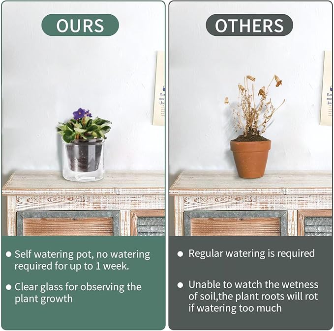 4 Inch Self Watering Pot,African Violet Pot,Bottom Watering Glass Planter for Indoor Plants and Progagation