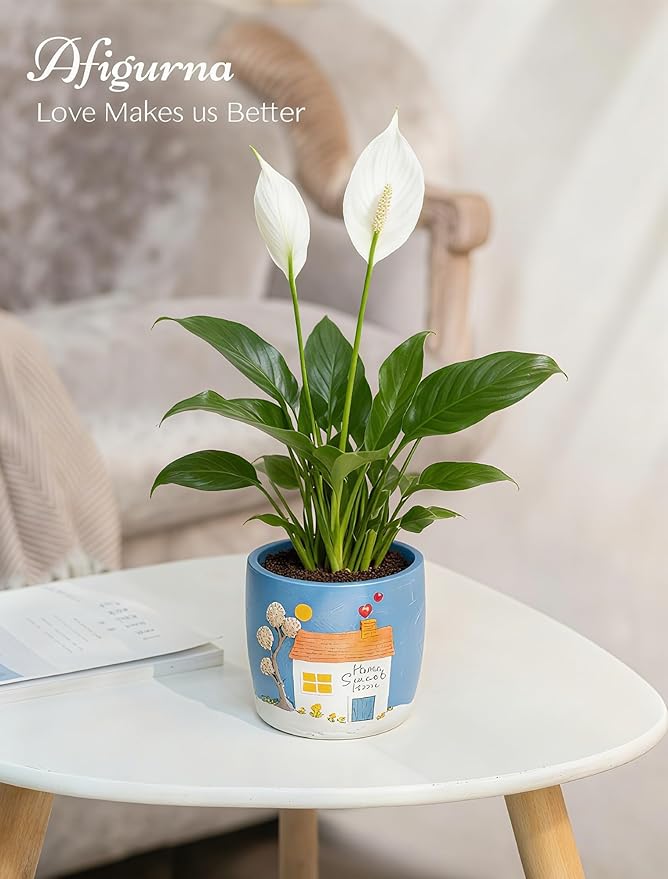 New Home Gift Ideas: New Home Apartment Plant Gift for Plant Lover - 5.3in Hand-Painted 3D Art Planter - Gardening House Warming Present for Christmas