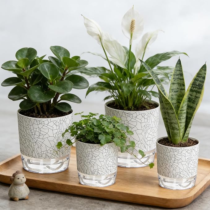 Self Watering Pots for Indoor Plants, 4/5.5 Inch Crackle Pattern Planters with Clear Water Reservoir & Wick System, 4 Pack Plastic Flower Pots for Succulents, Herbs, African Violets