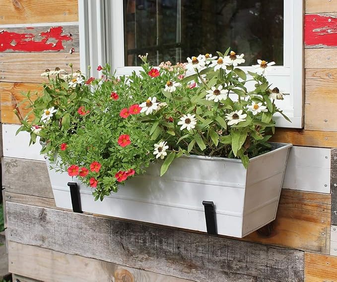 Achla Designs C-20W Window Box, White, Medium