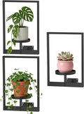 Wall Hanging Plant Stands Planter Shelves, Indoor Outdoor Window Plant Hanger Decor for Living Room Entryway (Black 3-Pack)