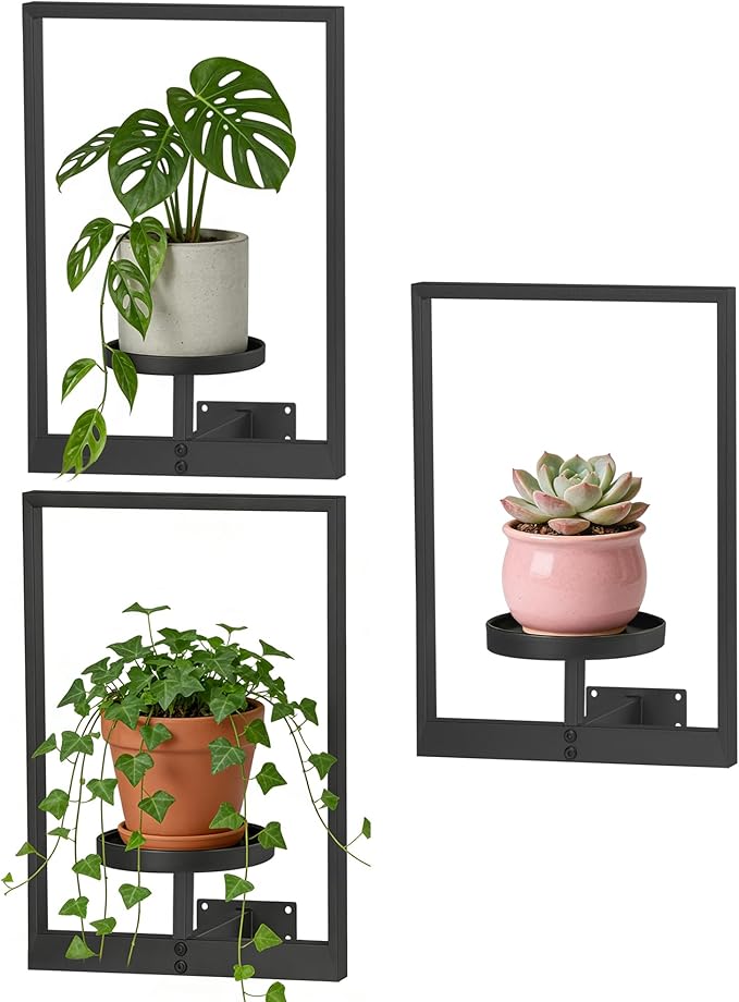 Wall Hanging Plant Stands Planter Shelves, Indoor Outdoor Window Plant Hanger Decor for Living Room Entryway (Black 3-Pack)