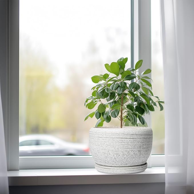 SQOWL Ceramic Plant Pots - 8 inch Planter for Indoor Plants, Round Flower Pot with Drainage Hole and Plant Saucer, Modern Decorative Ceramic Planter Outdoor, Home Room Decor, Garden Gifts, Gray