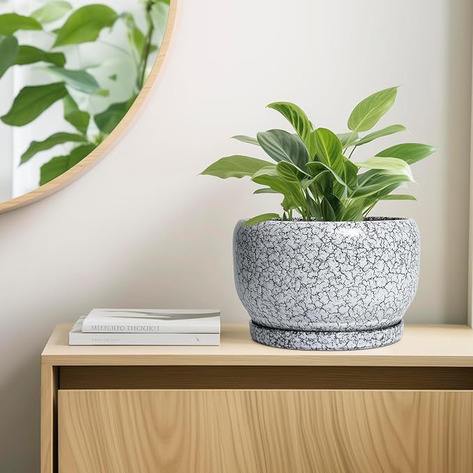 SQOWL Ceramic Planters - 10 Inch Ceramic Flower Pot with Drainage Hole and Saucer, Decorative Plant Pot Indoor, Round Large Planter Outdoor, Bathroom Decor, Gifts for Plant Lovers, Black and White