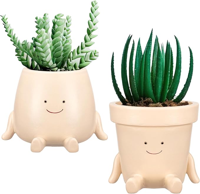 Domensi 2 Pcs Swing Hanging Planter Cute Smile Flower Face Pot Indoor Outdoor Pots for Succulent String of Pearls Plants Plant Ideal Gifts for Christmas Birthday(Sit Mixed Shapes,Small)