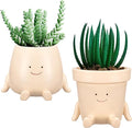 Domensi 2 Pcs Swing Hanging Planter Cute Smile Flower Face Pot Indoor Outdoor Pots for Succulent String of Pearls Plants Plant Ideal Gifts for Christmas Birthday(Sit Mixed Shapes,Small)