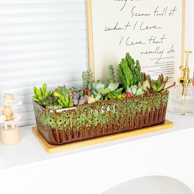 Succulent Pots - 12 Inch Large Succulent Planters with Drainage Tray, Window Sill Planter, Long Rectangle Ceramic Pots for Indoor Cactus Plants Shallow Bonsai Window Box for Home Garden Decor