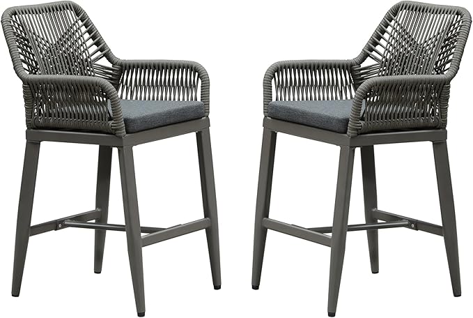 PURPLE LEAF Outdoor 24" Counter Height Bar Stools Chair Set of 2, All Weather Rattan and Aluminum Patio Bar Stool with Cushion for Indoor and Outdoor, Kitchen Island, Smoke Grey