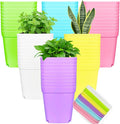 Anyumocz 42 PCS Plastic Square Plant Pots,Multi Color Nursery Pots,Small Flower Pots for Indoor Outdoor Plants,Garden,Home Balcony Decorations