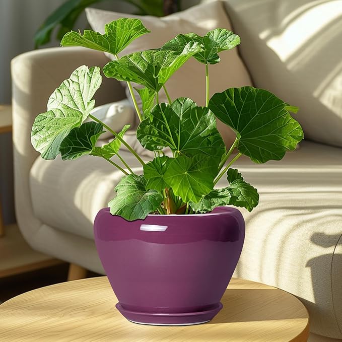 Ceramic Planter - 8 Inch Plant Pot Indoor with Drainage Hole and Saucer, Glaze Decorative Planter, Round Flower Pot, Plant Lover Gifts, Home Garden Office Decor, Purple