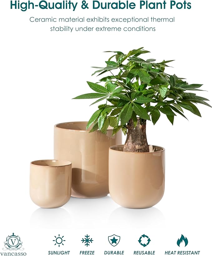 vancasso 6+8+10 inches Ceramic Plant Pots, Set of 3, Planters with Drainage Hole, Flower Pots Planters Pots for Indoor Plants, Modern Indoor Decorative Garden Pot, Home Decor, Brown