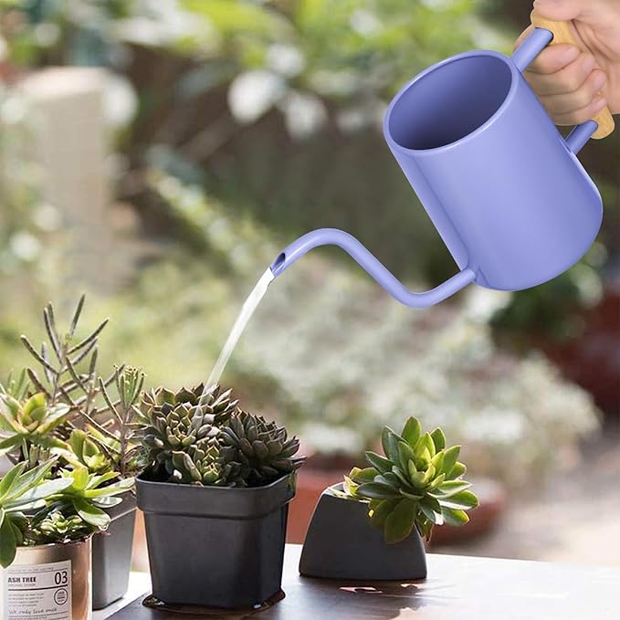 Watering Can Indoor Plants, 35 oz/1000 ml Metal Stainless Steel Watering Can Pot with Long Spout for Indoor House Plants Bonsai Outdoor Garden Flower Decorative (Purple)
