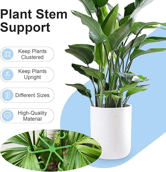 20pcs Plant Stem Support, Unique Design Stem Supports for Indoor Plants, Monstera Plant Support for Thriving Growth, Four Different Size Combinations Indoor Plants Accessories (Green)