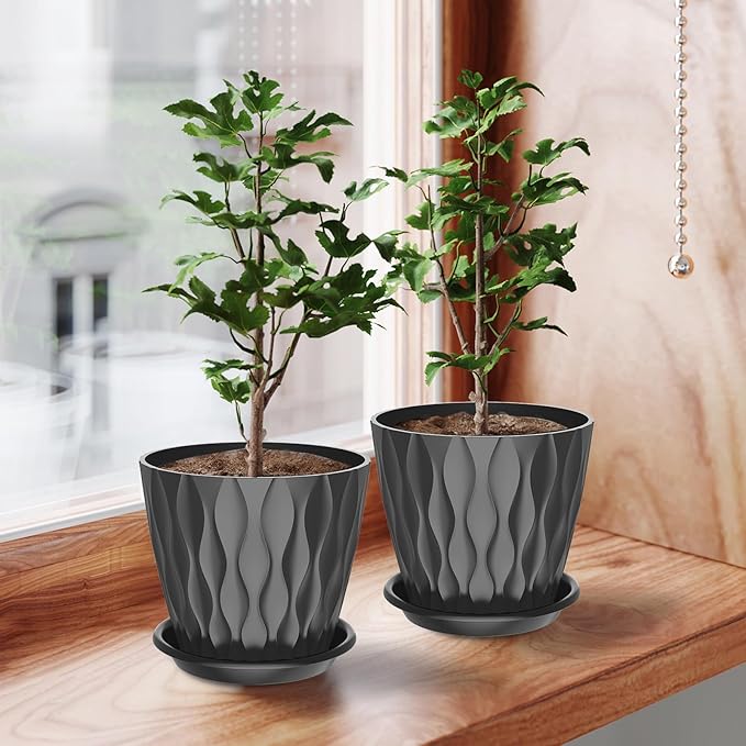 6 Pack 6 Inch Indoor Plant Pots with Drainage Holes, Outdoor Plastic Decorative Flower Pots, Garden Planters with Tray Saucers for Orchids, Violets, Succulents, Herbs, and Other Plants
