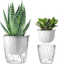 Self Watering Planters - 2 Pack, 6 Inch Transparent Flower Pots for Indoor Plants, Perfect for African Violet, Monstera, Succulents, Herbs & Decorative Flowers