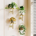 YUOROS 3 Pack Wall Plant Holder Stand Wall Planters for Indoor Plants Hanging Window Plant Hanger Decor (Gold)